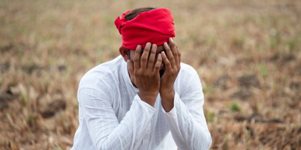 farmer