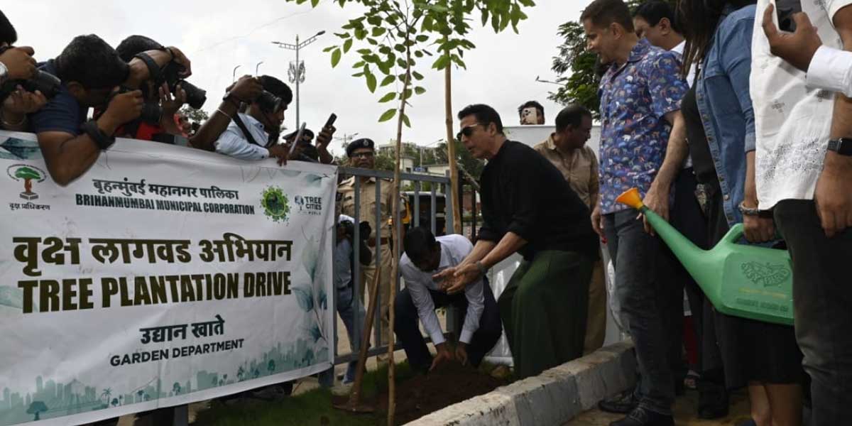 Tree plantation