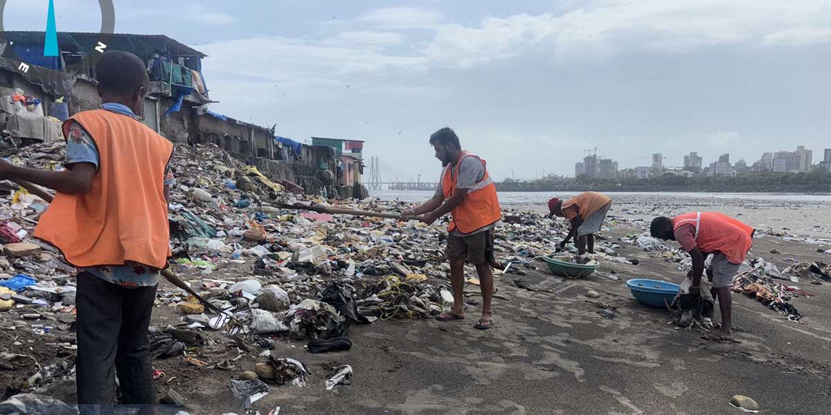 beach cleanup
